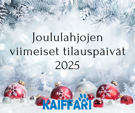 Joululahjojen viimeiset tilauspäivät 2025
