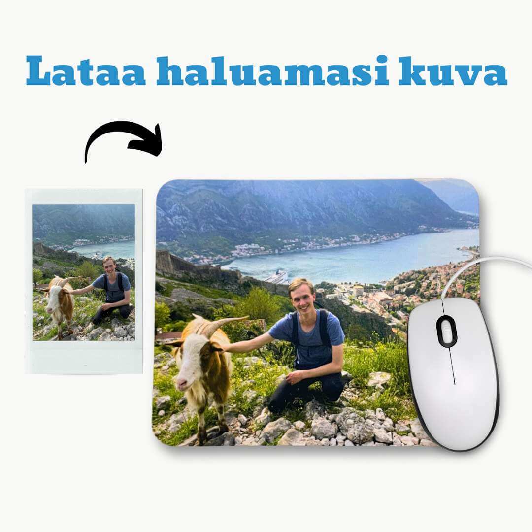 Hiirimatto omalla kuvalla